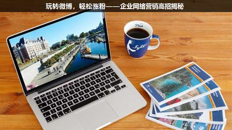 玩轉微博,輕松漲粉——企業(yè)網(wǎng)絡營銷高招揭秘