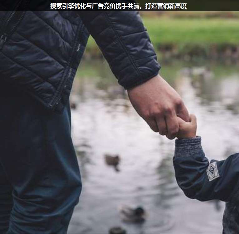 搜索引擎優化與廣告競價攜手共贏,打造營銷新高度