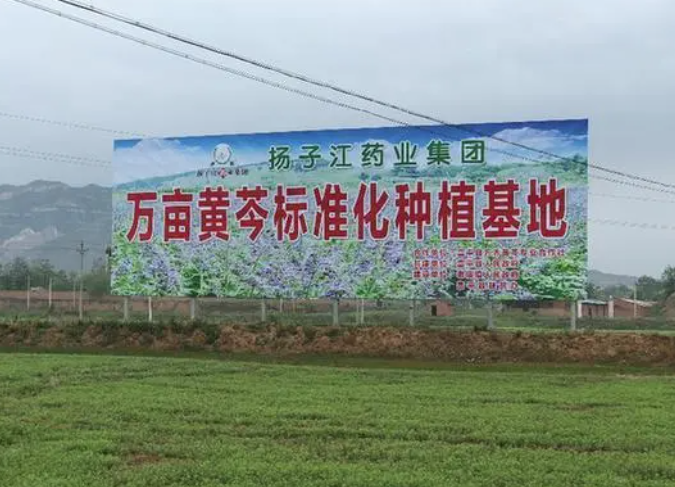 揚子江藥業(yè)：彰顯藥企責任擔當 掌握精準扶貧“金鑰匙”